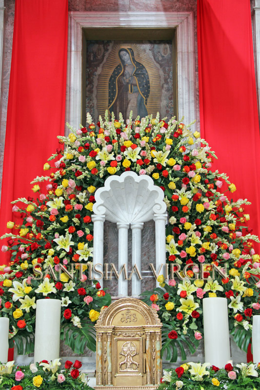 Santisima Virgen de Guadalupe