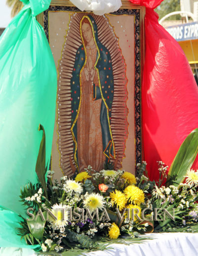 Imágenes de la Santisima Virgen de Guadalupe