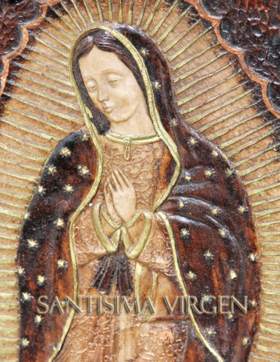 Imágenes de la Santisima Virgen de Guadalupe