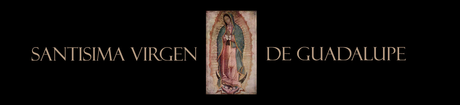 Santísima Virgen de Guadalupe