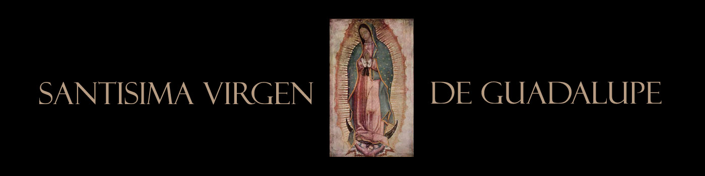 Santisima Virgen de Guadalupe