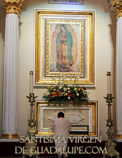 Nuestra Santisima Virgen de Guadalupe
