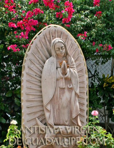 Nuestra Santisima Virgen de Guadalupe