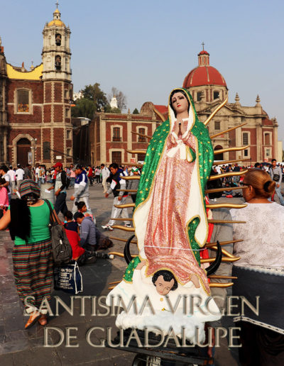 Peregrinación a la Basílica de Guadalupe