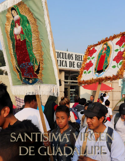 Peregrinación a la Basílica de Guadalupe